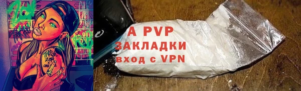 хмурый Алзамай