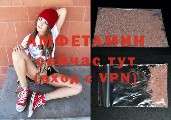 хмурый Алзамай